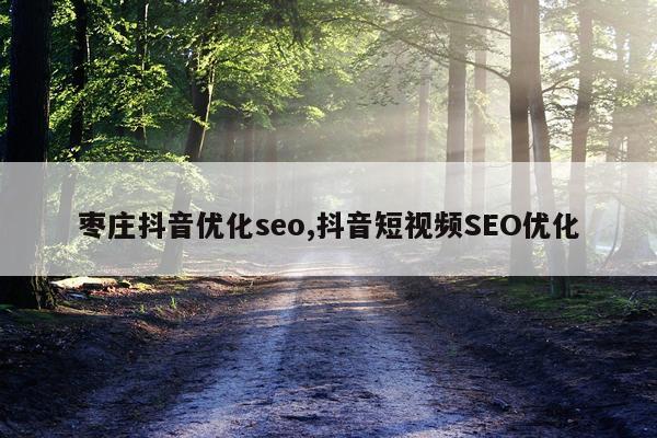 枣庄抖音优化seo,抖音短视频SEO优化
