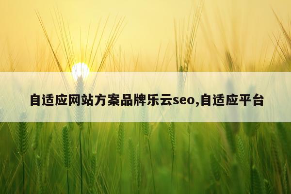 自适应网站方案品牌乐云seo,自适应平台
