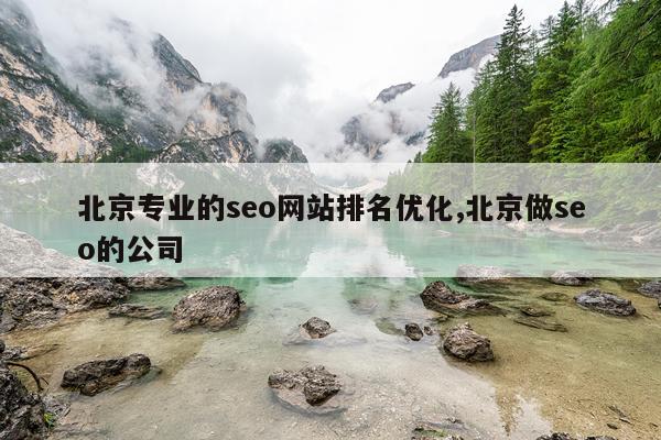 北京专业的seo网站排名优化,北京做seo的公司