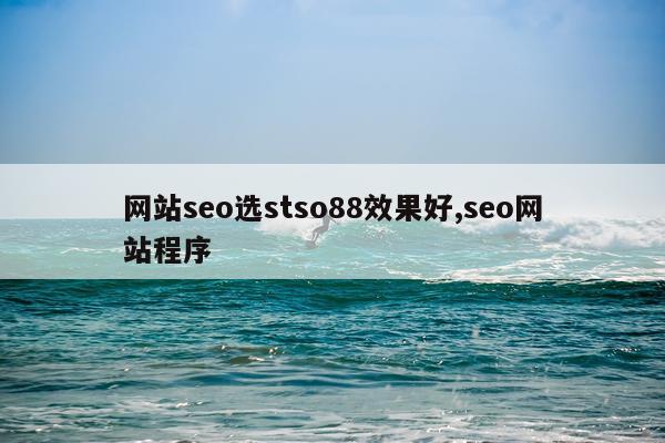 网站seo选stso88效果好,seo网站程序