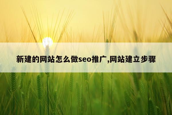 新建的网站怎么做seo推广,网站建立步骤