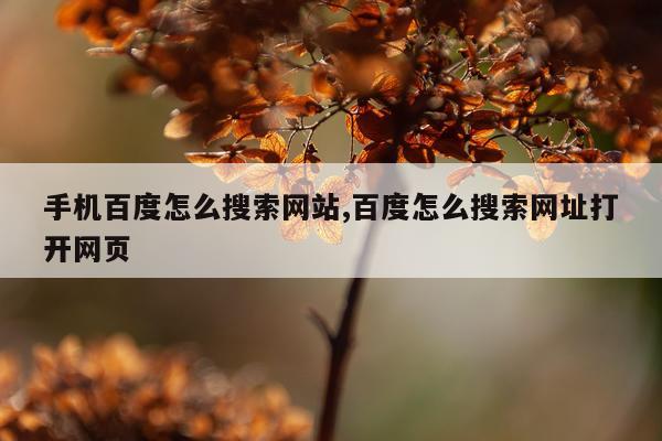 手机百度怎么搜索网站,百度怎么搜索网址打开网页