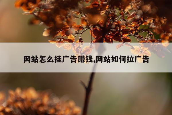 网站怎么挂广告赚钱,网站如何拉广告