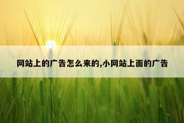 网站上的广告怎么来的,小网站上面的广告