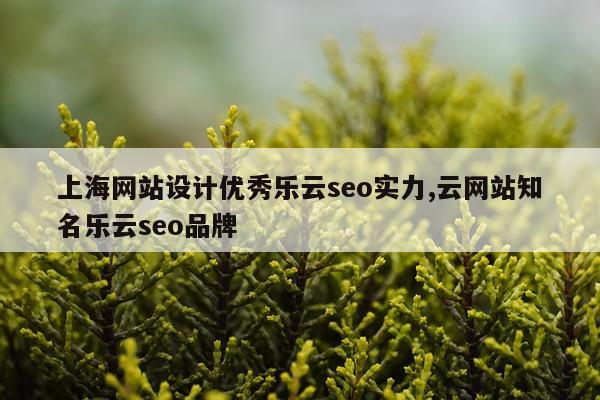 上海网站设计优秀乐云seo实力,云网站知名乐云seo品牌
