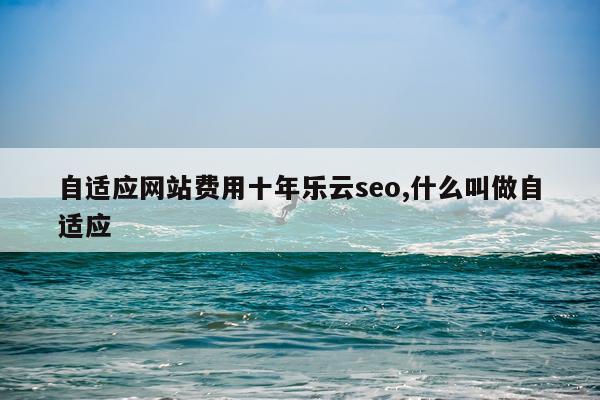 自适应网站费用十年乐云seo,什么叫做自适应