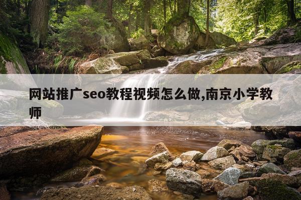 网站推广seo教程视频怎么做,南京小学教师