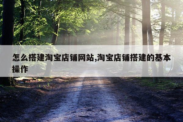 怎么搭建淘宝店铺网站,淘宝店铺搭建的基本操作
