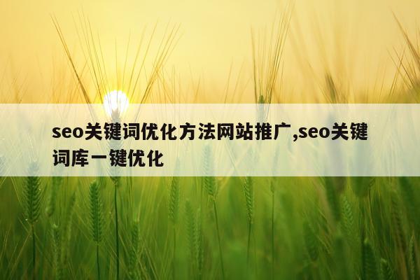 seo关键词优化方法网站推广,seo关键词库一键优化