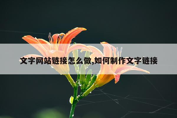 文字网站链接怎么做,如何制作文字链接