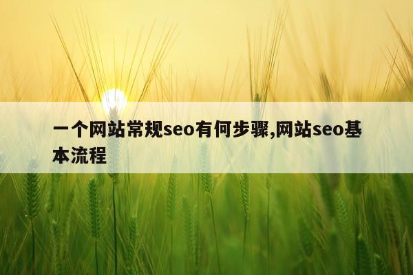 一个网站常规seo有何步骤,网站seo基本流程