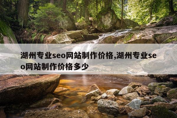 湖州专业seo网站制作价格,湖州专业seo网站制作价格多少