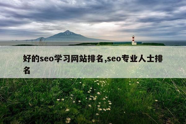 好的seo学习网站排名,seo专业人士排名
