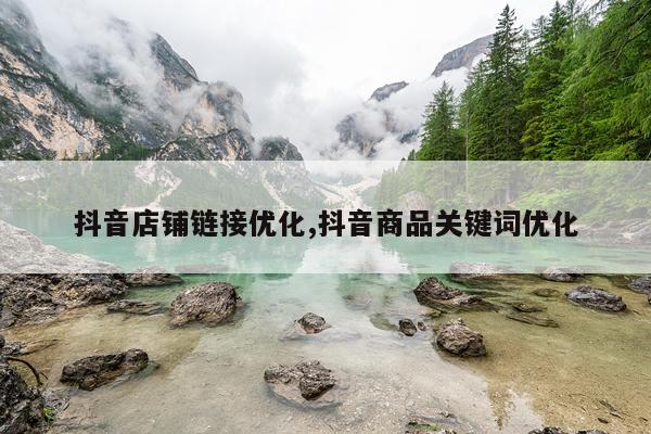 抖音店铺链接优化,抖音商品关键词优化