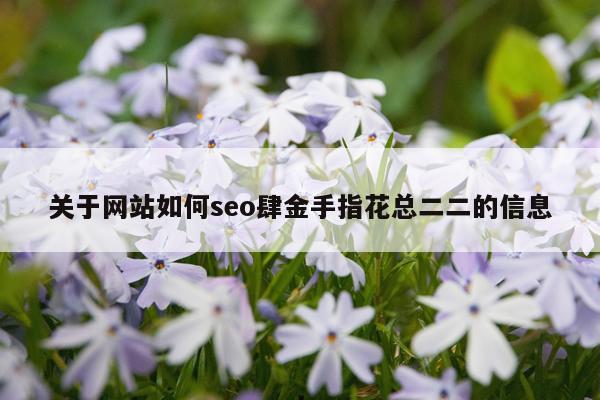 关于网站如何seo肆金手指花总二二的信息