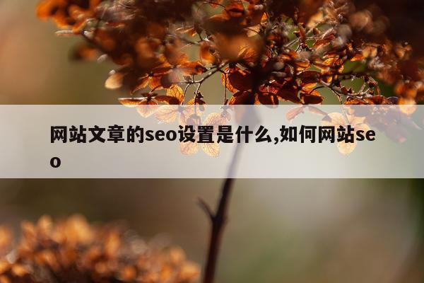 网站文章的seo设置是什么,如何网站seo