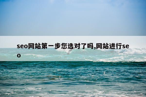 seo网站第一步您选对了吗,网站进行seo