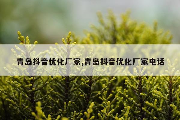 青岛抖音优化厂家,青岛抖音优化厂家电话