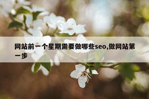网站前一个星期需要做哪些seo,做网站第一步