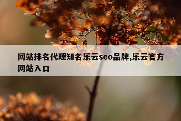 网站排名代理知名乐云seo品牌,乐云官方网站入口