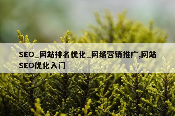 SEO_网站排名优化_网络营销推广,网站SEO优化入门