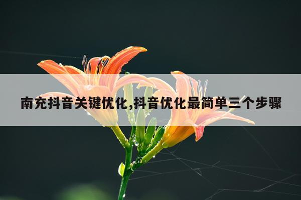 南充抖音关键优化,抖音优化最简单三个步骤
