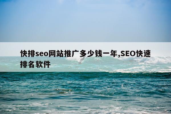 快排seo网站推广多少钱一年,SEO快速排名软件