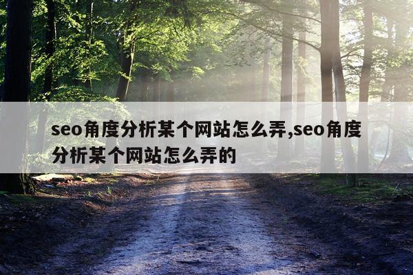 seo角度分析某个网站怎么弄,seo角度分析某个网站怎么弄的
