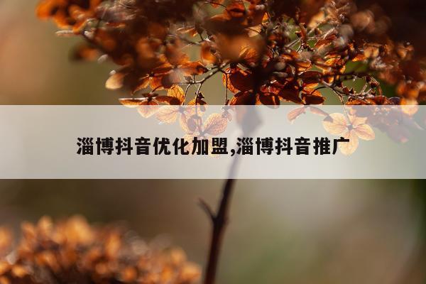 淄博抖音优化加盟,淄博抖音推广