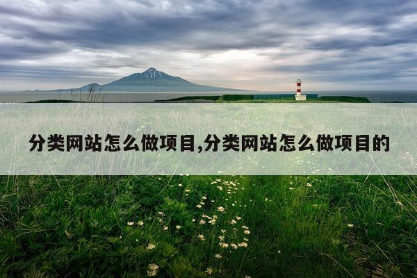 分类网站怎么做项目,分类网站怎么做项目的