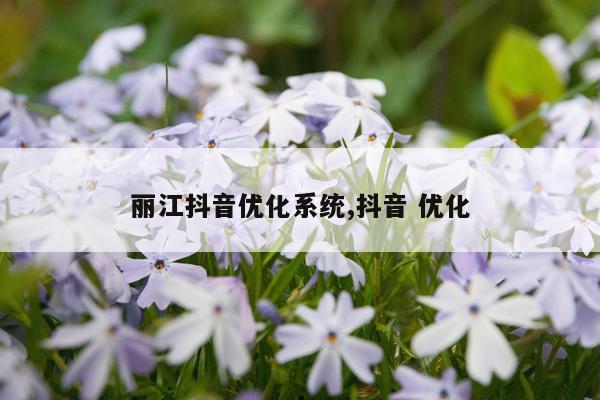 丽江抖音优化系统,抖音 优化