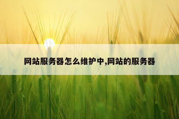 网站服务器怎么维护中,网站的服务器