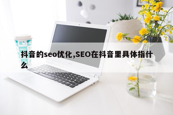 抖音的seo优化,SEO在抖音里具体指什么