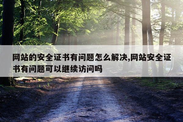 网站的安全证书有问题怎么解决,网站安全证书有问题可以继续访问吗