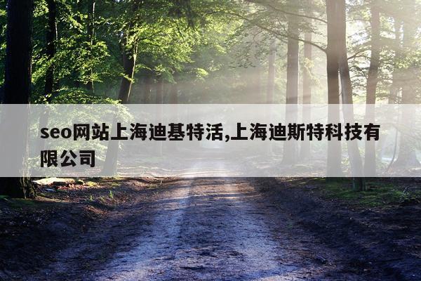 seo网站上海迪基特活,上海迪斯特科技有限公司