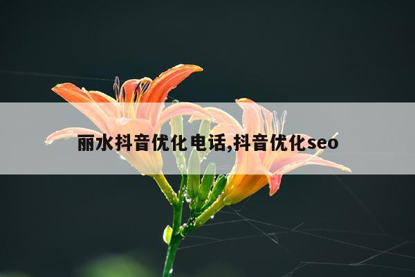 丽水抖音优化电话,抖音优化seo