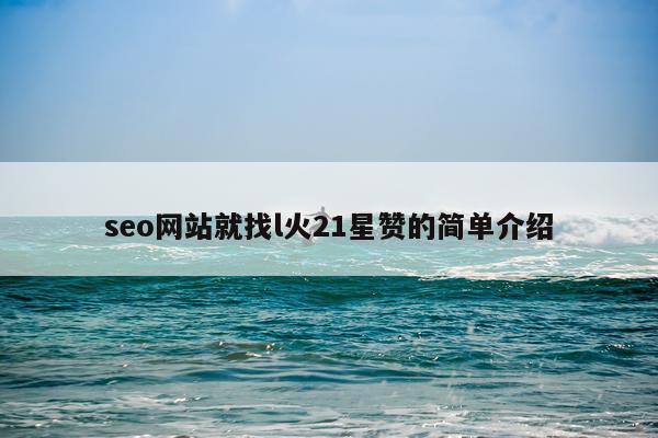 seo网站就找l火21星赞的简单介绍