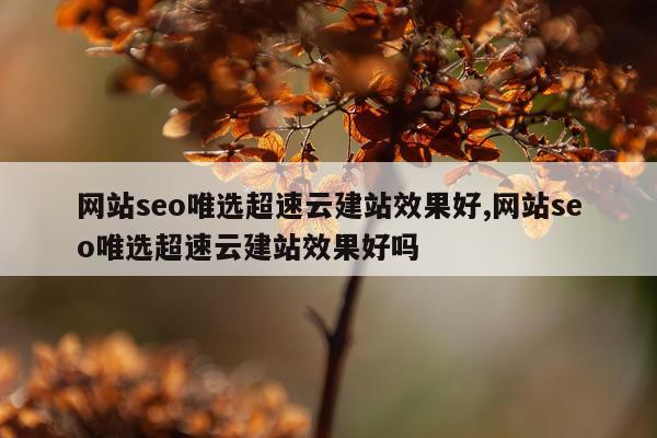 网站seo唯选超速云建站效果好,网站seo唯选超速云建站效果好吗