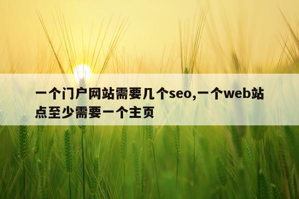 一个门户网站需要几个seo,一个web站点至少需要一个主页