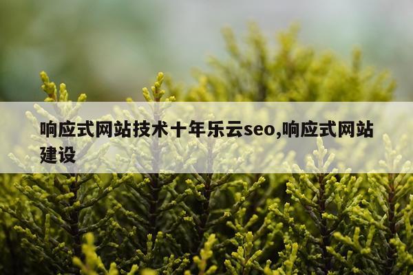 响应式网站技术十年乐云seo,响应式网站建设