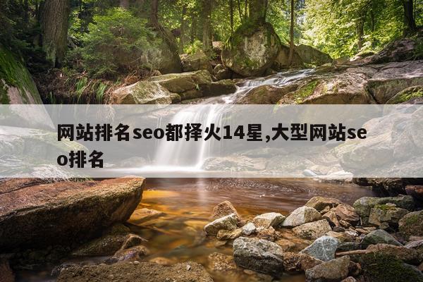 网站排名seo都择火14星,大型网站seo排名