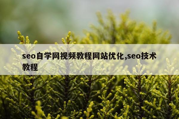 seo自学网视频教程网站优化,seo技术教程