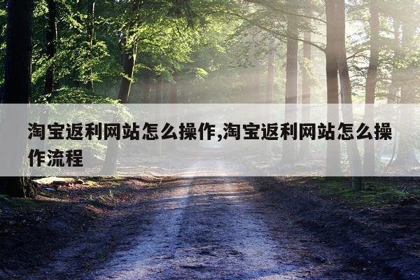 淘宝返利网站怎么操作,淘宝返利网站怎么操作流程
