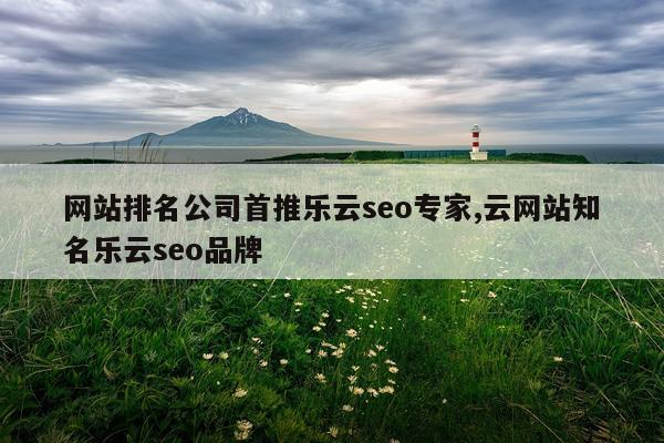 网站排名公司首推乐云seo专家,云网站知名乐云seo品牌