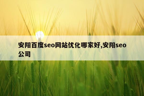 安阳百度seo网站优化哪家好,安阳seo公司
