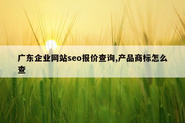 广东企业网站seo报价查询,产品商标怎么查