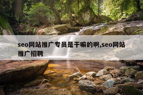 seo网站推广专员是干嘛的啊,seo网站推广招聘