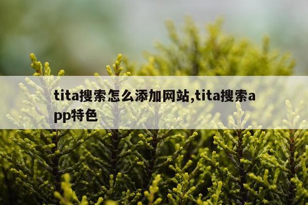 tita搜索怎么添加网站,tita搜索app特色