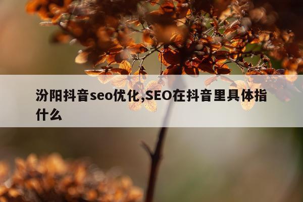 汾阳抖音seo优化,SEO在抖音里具体指什么
