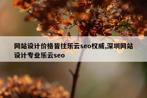 网站设计价格皆往乐云seo权威,深圳网站设计专业乐云seo